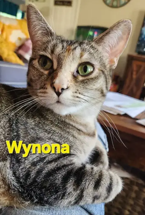 Wynona photo 3