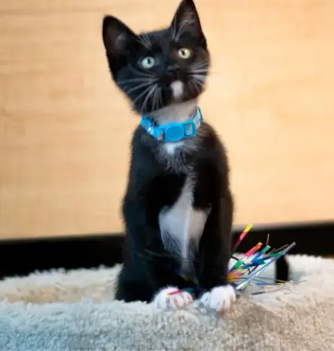 Mittens