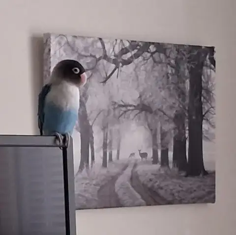 Kiki photo 3