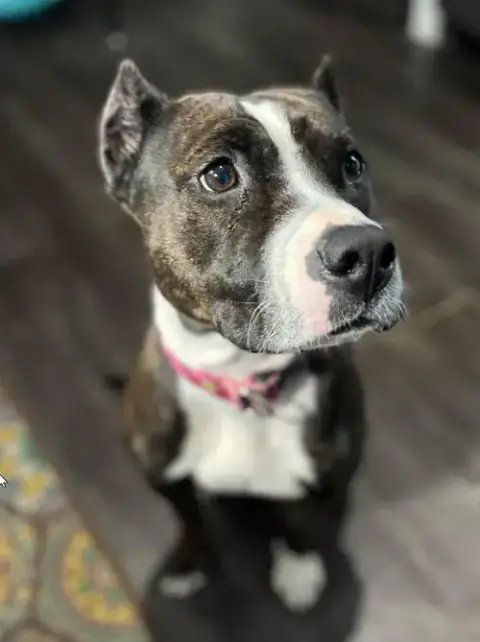 Penelope photo 4