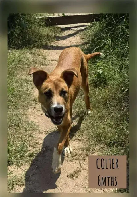 Odin photo 5