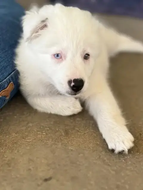 Lucy photo 2