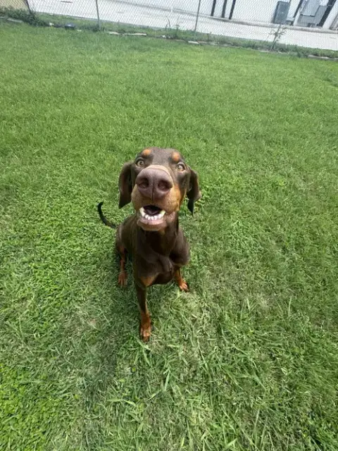 Cooper photo 5