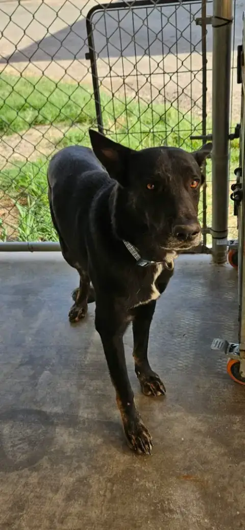 Ernie photo 2