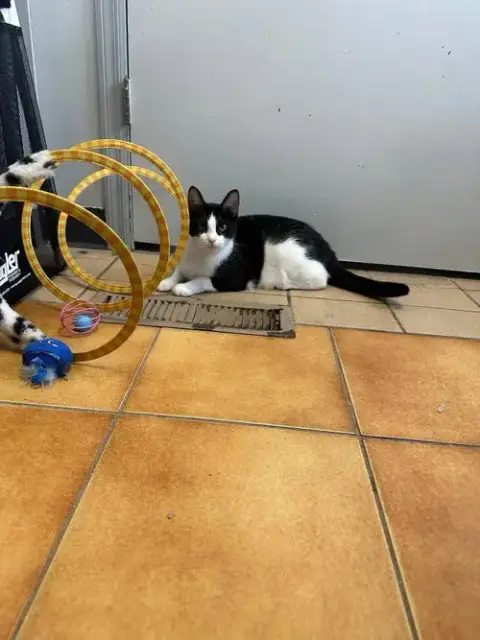 Minni photo 5