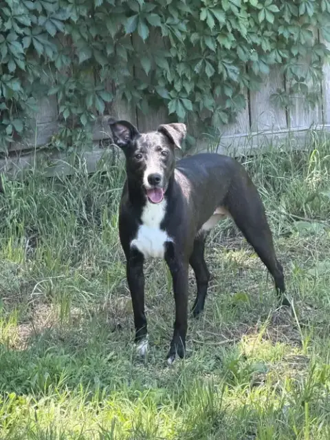 Peppa