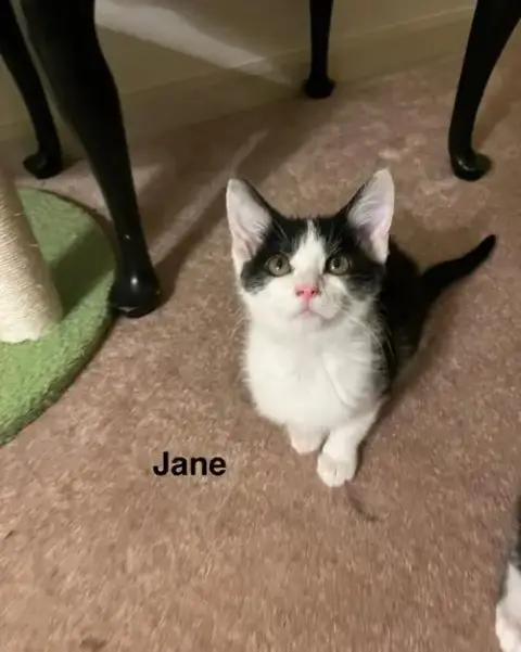 Jane photo 2