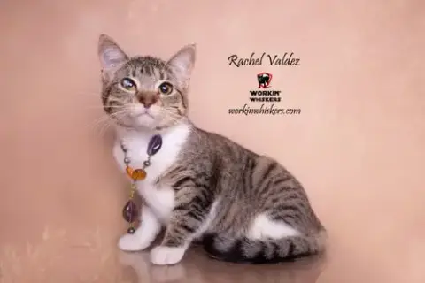 Rachel Valdez photo 2