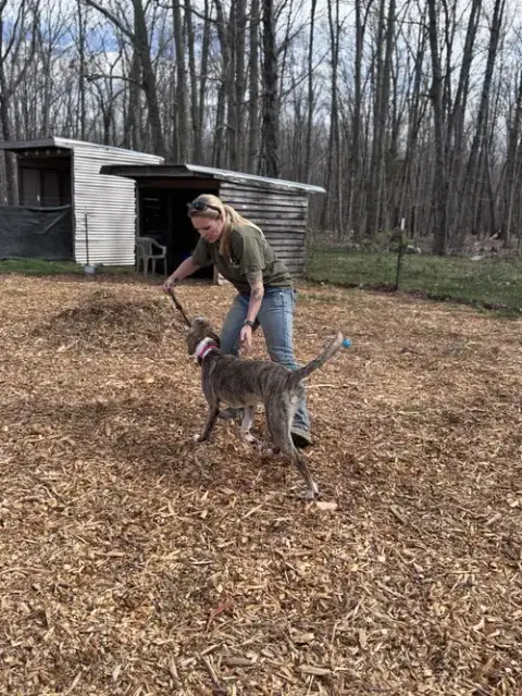 Sophia: Not At The Shelter photo 5