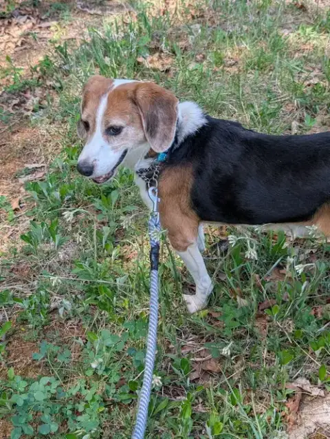 Hightower: Not At Shelter photo 3