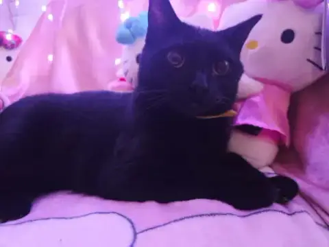 Precious photo 2
