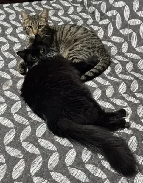 Oliver And Lucy