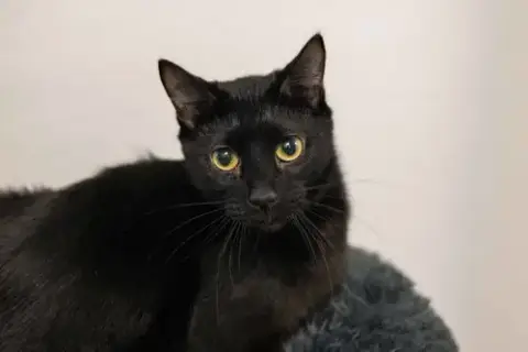 Bernard photo 2