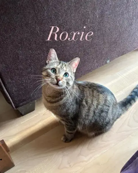 Roxie photo 3