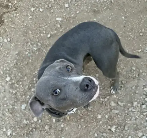 Tilla photo 2