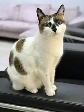 Miss Lizzie photo 2
