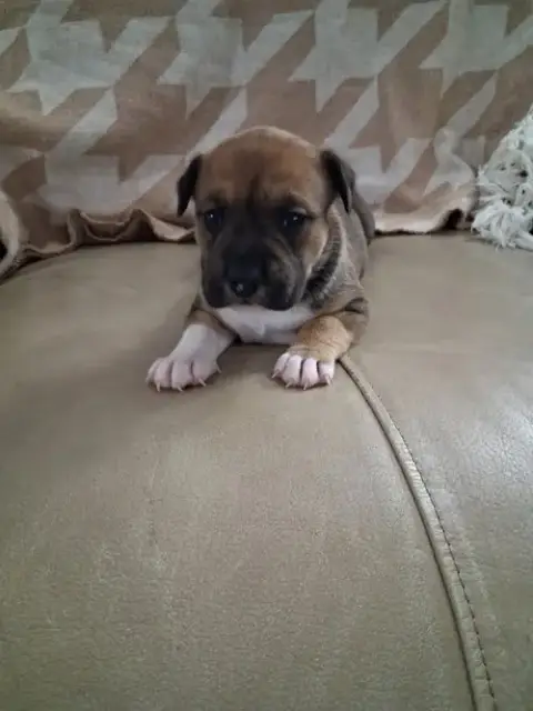 Rory