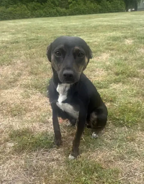 Darla photo 2