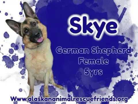 Skye