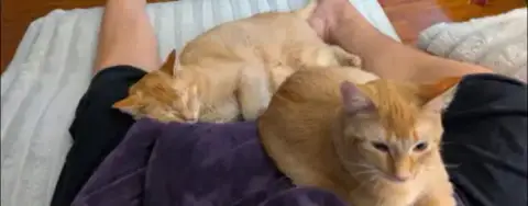 Skittles & Twix photo 2
