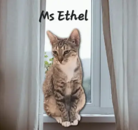 Ms Ethel #Low-Maintenance photo 3