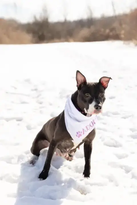 Lucy photo 4