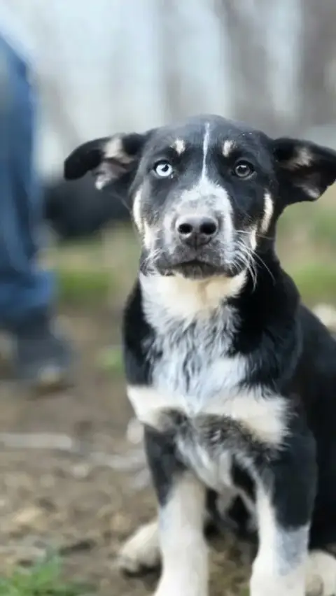 Nature Dawgs photo 4