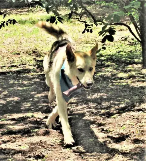 Luka photo 5