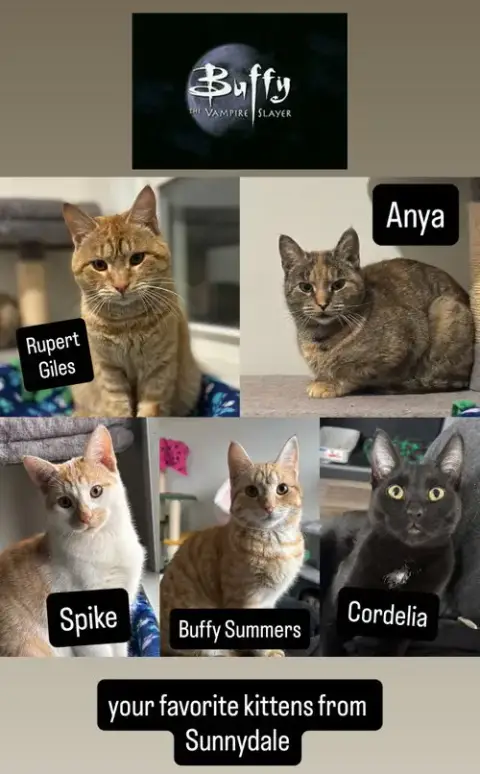 Anya photo 2