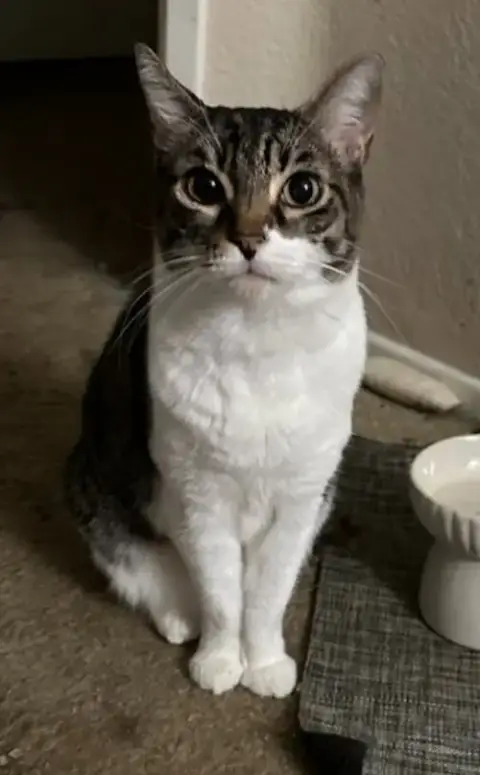Audrey