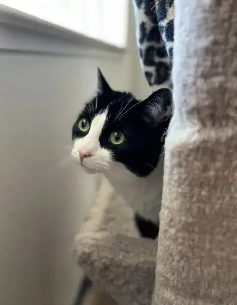 Sonny