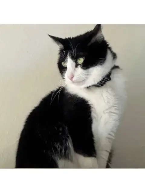Mariah Purry photo 2