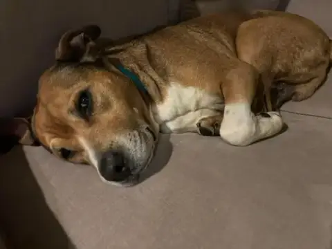 Walter 0573 photo 3
