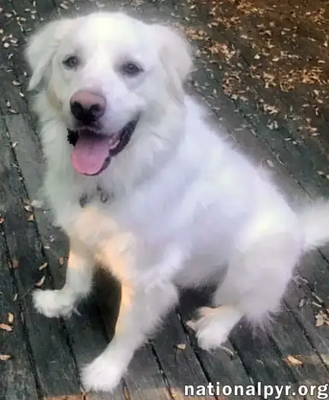 Wyatt In Ct photo 2