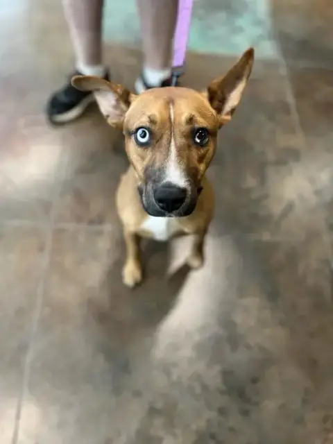 Jack