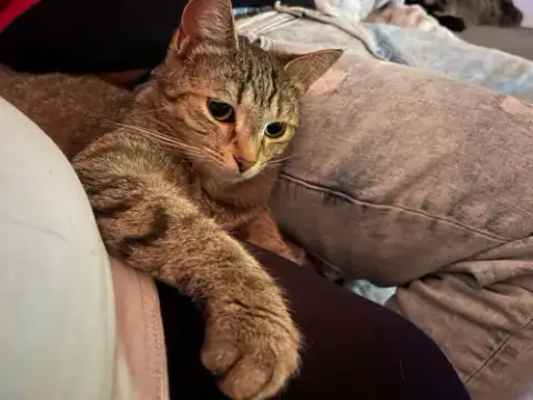 Eleanor photo 2