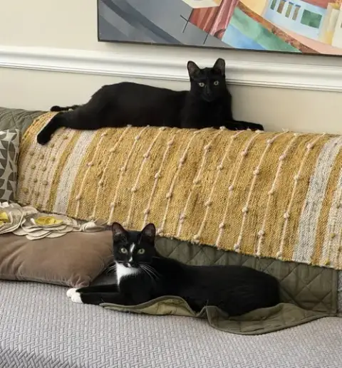 Midnight & Alex