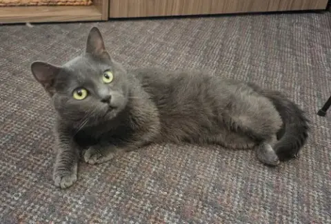 Bubba Blue photo 2
