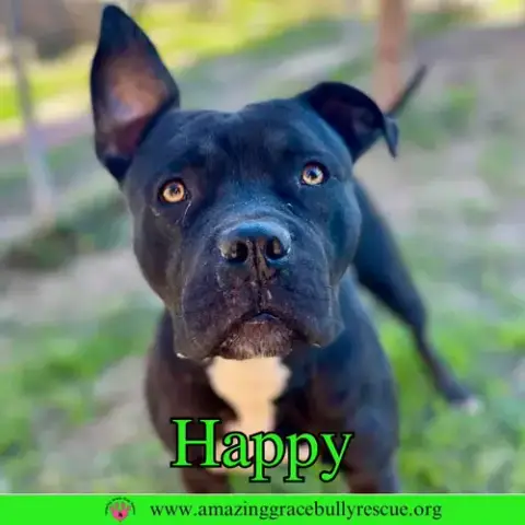 Happy photo 4