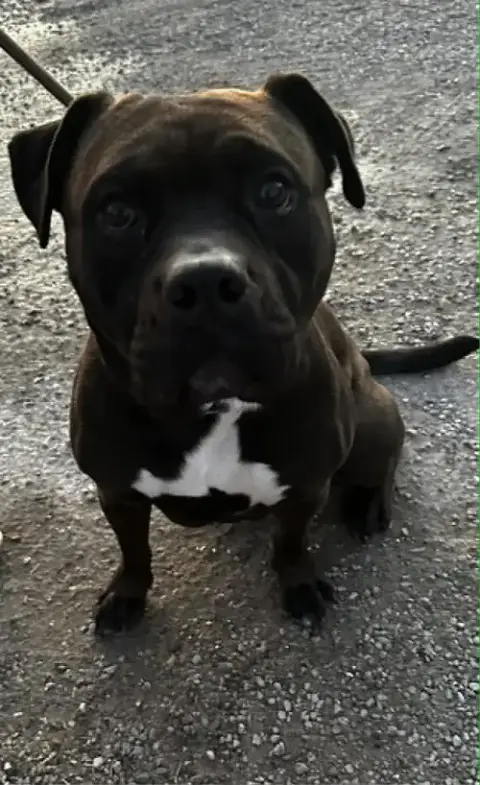 Zeus Maximus photo 4