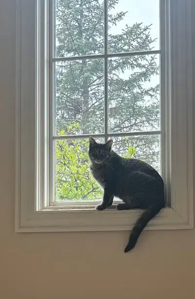 Nyx photo 5