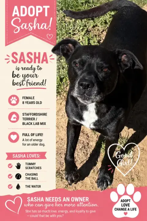 Mulan Aka Sasha