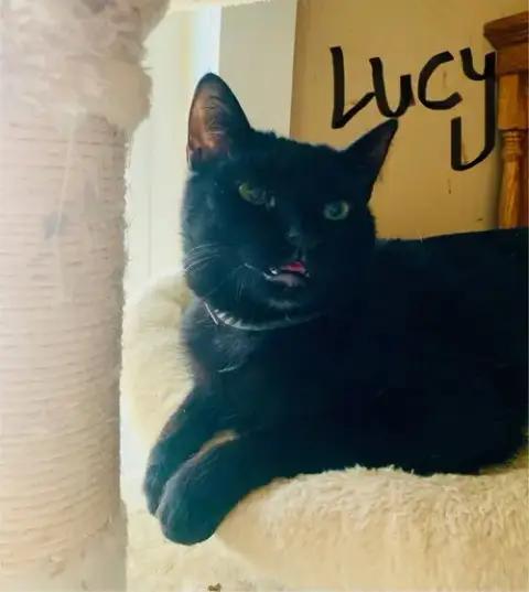 Lucy