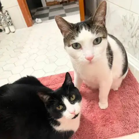 Biff & Willy
