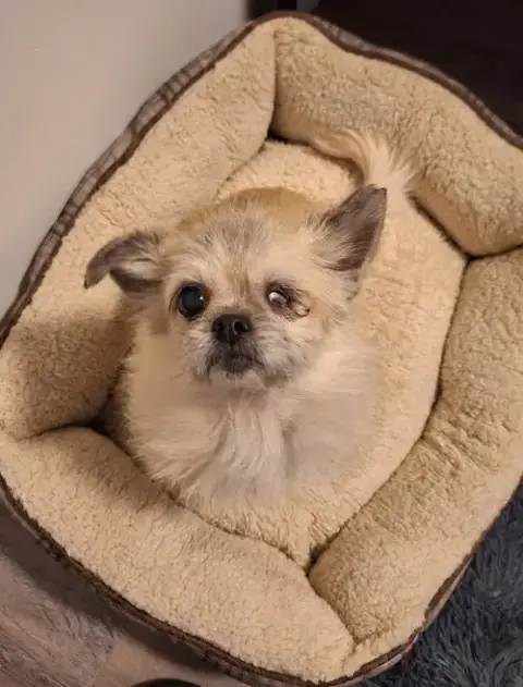 Lady Jellybean photo 5
