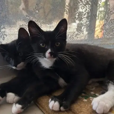 Liam photo 2