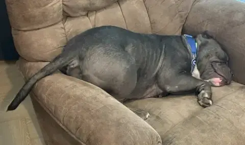 Chonk photo 2