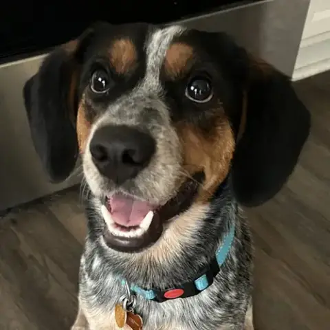 Chance