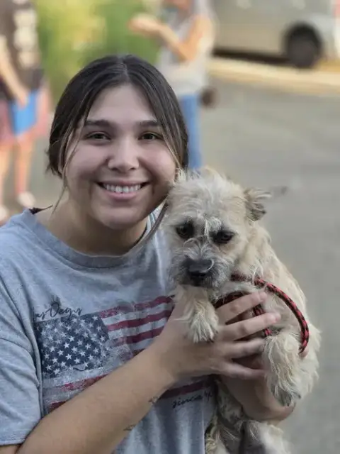 Kenzie A Cairn Terrier Mix Female photo 4