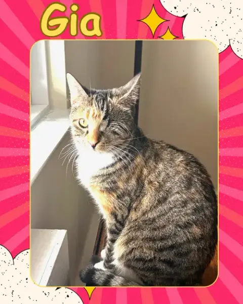 Gia